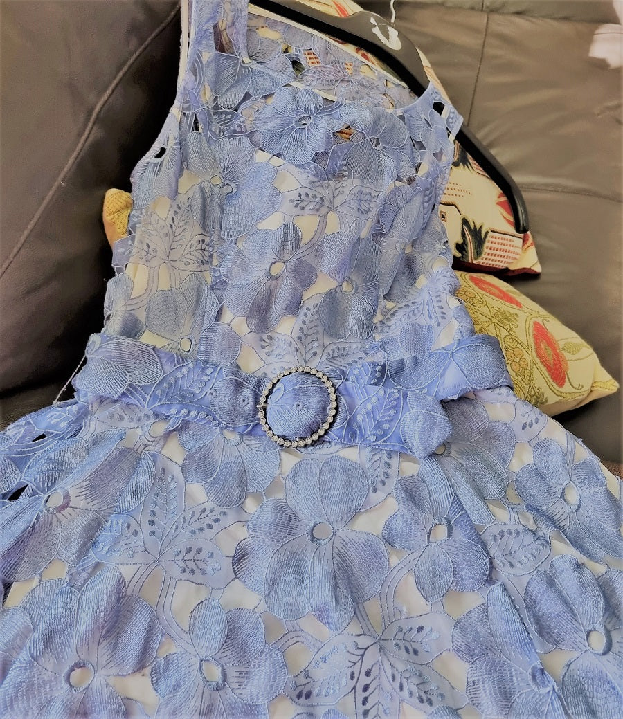 Phase Eight cornflower blue lace occasion dress - Main Image